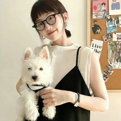 龙猫